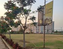 Amity University Raipur Campus View(2)
