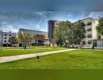 NHCE Bangalore Campus View(4)