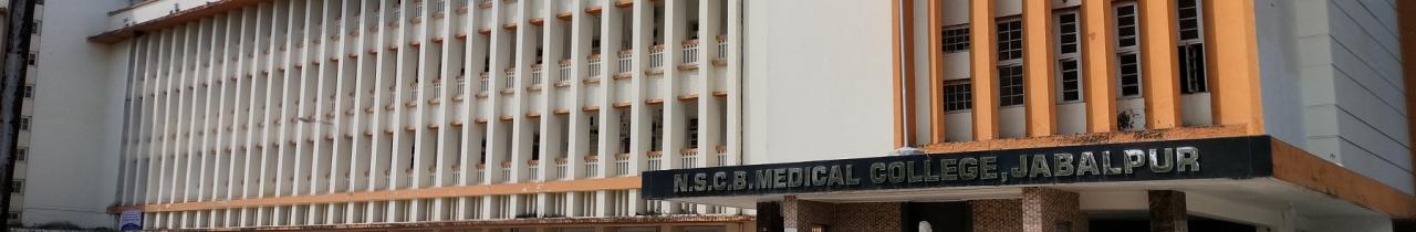 Netaji Subhash Chandra Bose Medical College