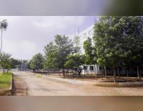 Sha-Shib College of Engineering Campus View(2)