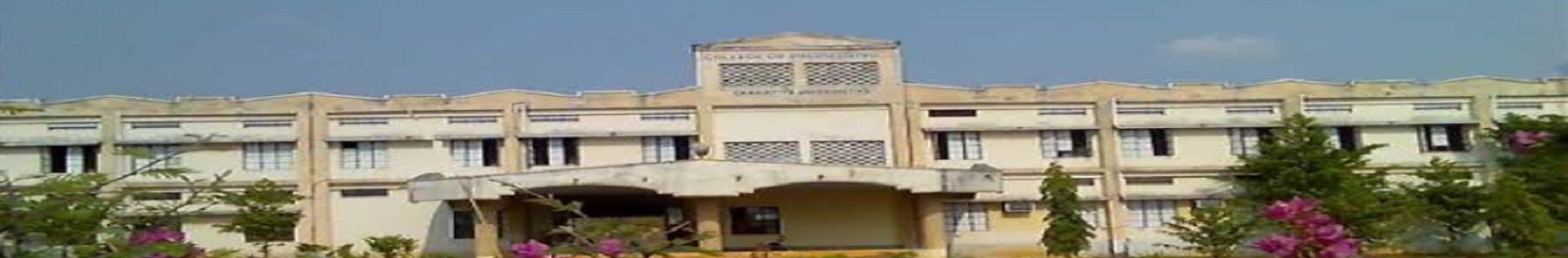 University College of Engineering - Kakatiya University, Kothagudem