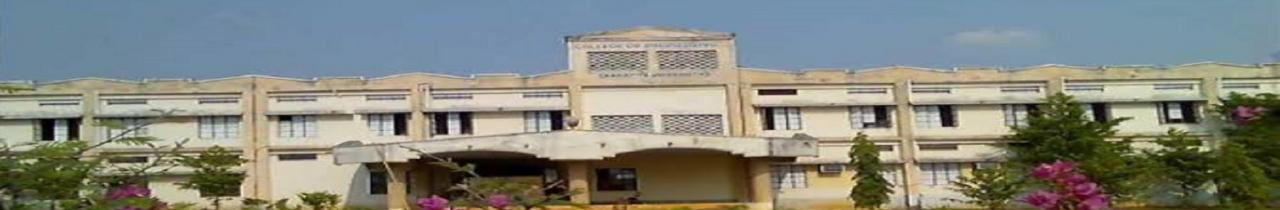 University College of Engineering - Kakatiya University, Kothagudem