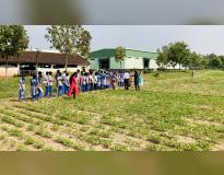 PJTSAU Students Work