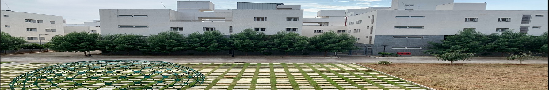 SPA Vijayawada - School of Planning and Architecture