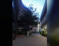 BMS College of Engineering Others(1)