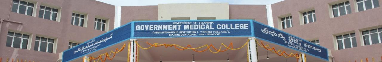 Government Medical College, Mahabubnagar