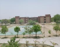 RJIT Playground