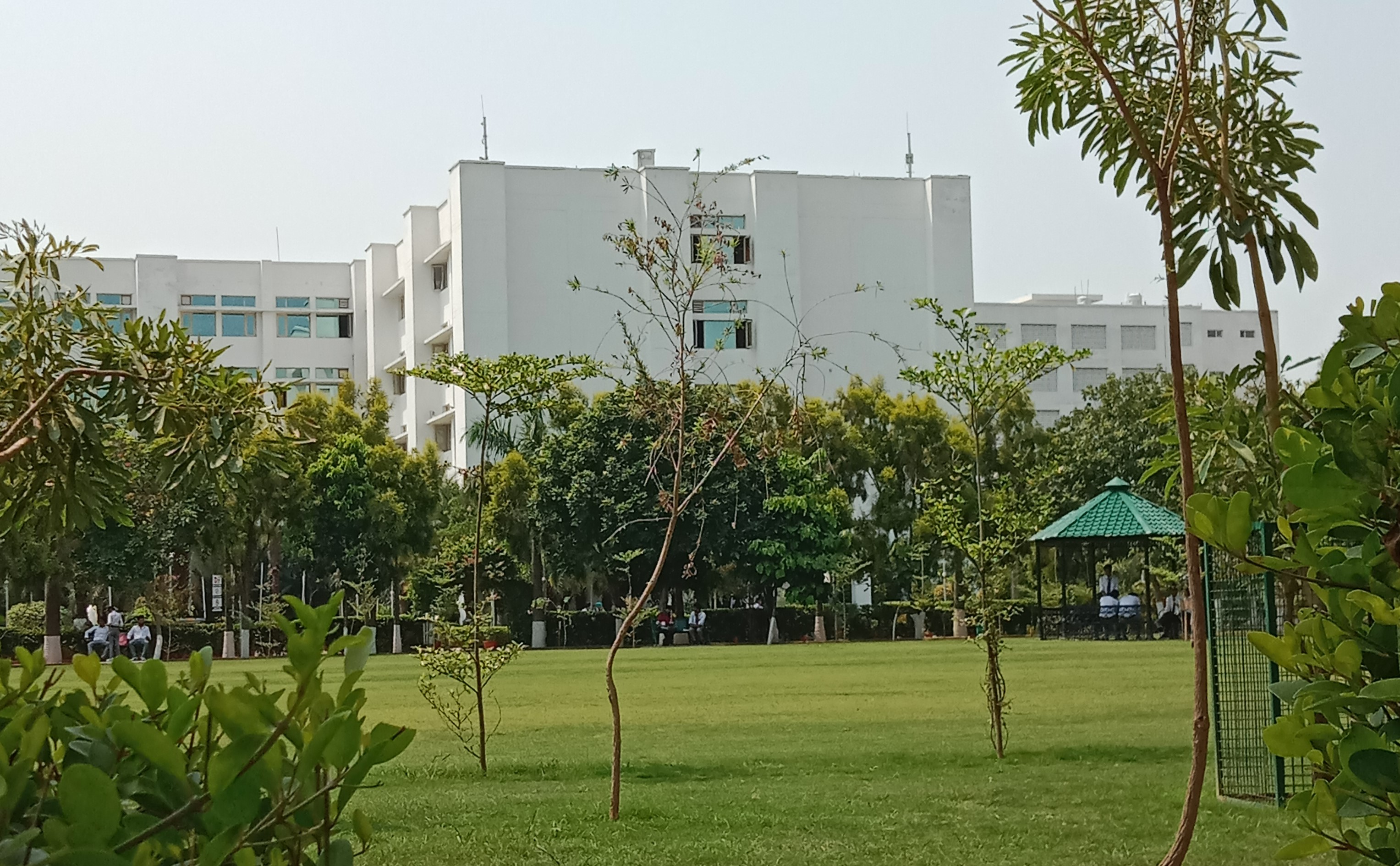 Campus View