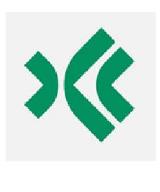 Emversity Online Logo