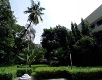 SPIT Campus View