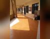 Srinivasa Institute of Engineering and Technology Others(2)