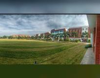 Sri Venkateswara Engineering College Tirupati Campus View(3)