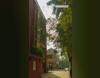 Kalindi College Campus View