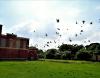 Ramjas College Campus View(3)