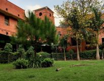 Ramjas College Campus View(5)