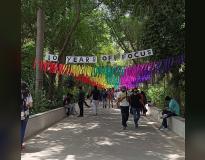 Ramjas College Fest(2)
