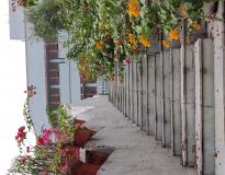 Janki Devi Memorial College Campus View(1)