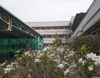 Janki Devi Memorial College Campus View(2)