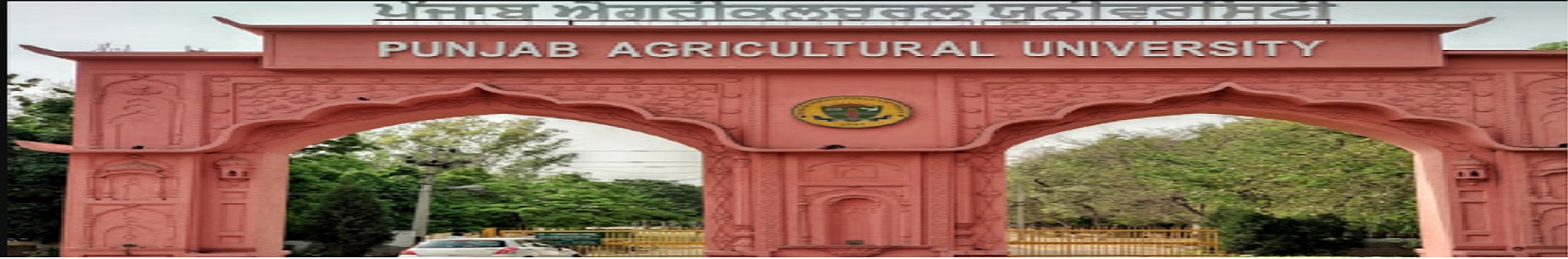 PAU - Punjab Agricultural University