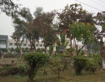 GBPUAT Others(4)