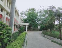Allahabad University Campus View(2)