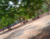 Ayya Nadar Janaki Ammal College Campus View(3)