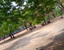Ayya Nadar Janaki Ammal College Campus View(3)