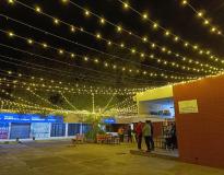 Punjab Engineering College Chandigarh Campus View(1)