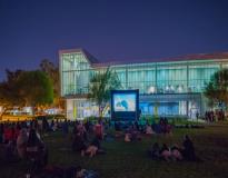 CSUDH Others(6)