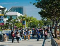 CSUDH Others(8)