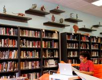 USV Others(2)