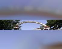 Shree Damodar College of Commerce & Economics Others