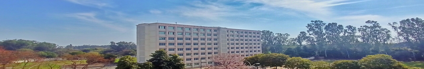 Punjabi University Patiala