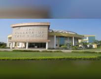 IPS COLLEGE Campus View(2)