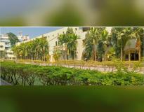 Ruparel College Campus View(3)