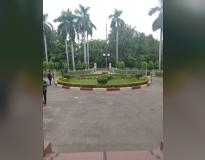 Faculty of Law Others(5)