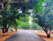Kamala Institute of Technology and Science Others(3)