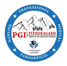 Pithoragarh Group Of Institutions Logo