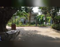 Motilal Nehru College Others(2)