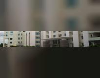 United Institute of Technology Others