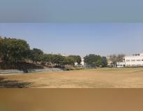 Motilal Nehru College Others(11)