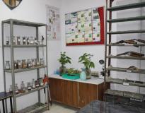 Sai Group of Institutions Labs(3)