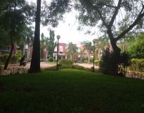 Pondicherry University Campus View