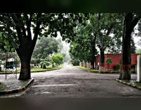 Gurukula Kangri Vishwavidyalaya Campus View(2)
