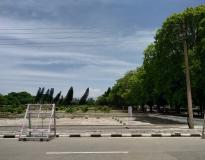 Panjab University Campus View(2)