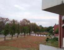 Panjab University Campus View(3)