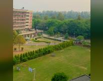 Panjab University Campus View(4)