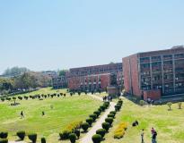 Panjab University Campus View(5)
