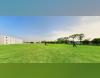 FIP Sports Facility(2)