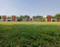 IIMR Indore Campus View(1)